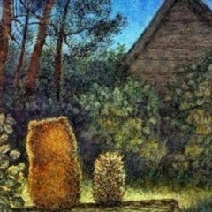 Евгения Валерьевна, Йошкар-Ола