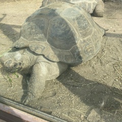 Виктория Сафонова, 09.05.1991