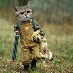 Юсуп Гасанов, 22.05.1987