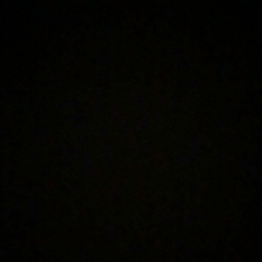 Tamerlan Tamerlan, 20.01.1995, Брест