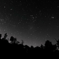 Андрей Салтыков, 18.11, Москва