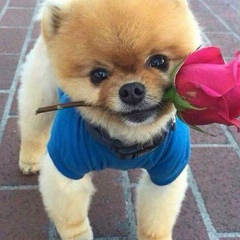 Галина Макрова, 25.12.1958, Санкт-Петербург