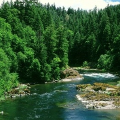 Илья Борщаков, 20.09