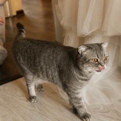 Егор Чепкин, 26.05, Санкт-Петербург