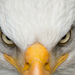 Сергей Питириков, 21.03.1995, Обнинск