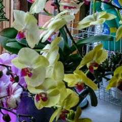 Светлана Морозова, 22.11.1980, Lahti