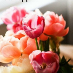 Галина Сандальнева, 09.12, Череповец