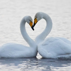 Jelena Matrossova, 25.03.2001