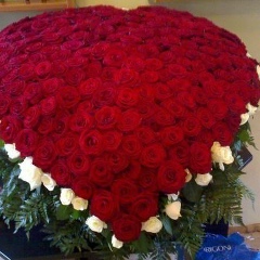 Акжаркын Султанова, 03.12.1979