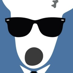 Антон Алёхин, Архангельск