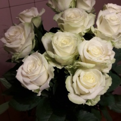 Светлана Салагаева, Jecheon