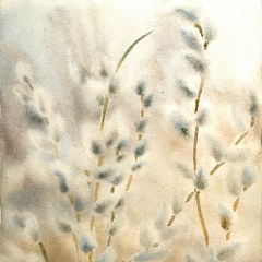 Марина Весенняя, Санкт-Петербург