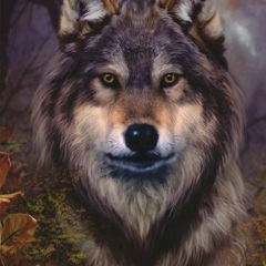 Георгий Сокаев, 02.08, Москва