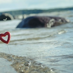 Света Иванова, 05.03.1982, Санкт-Петербург