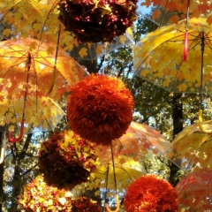 Наталья Лобова, 24.06