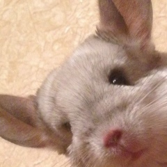 Ольга Иваницкая, 25.06.1985, Москва