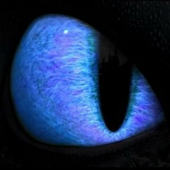 Евгений Беркин, 27.03.1986, Алматы