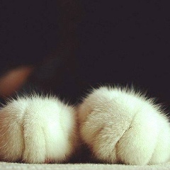 Тина Март, 09.11, Москва