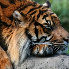 Дмитрий Казаков, 13.09.1987, Москва