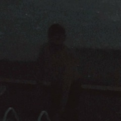 Замир Мирза, Тирасполь