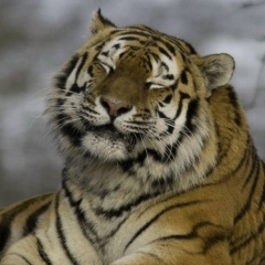 Әдемі Оралбек, 27.09.1995, Шымкент