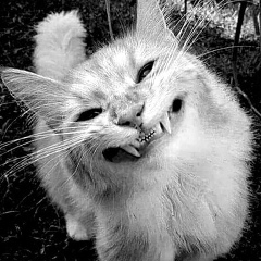 Александр Петров, 15.08.1980