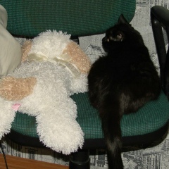 Елена Корчагина, 11.09