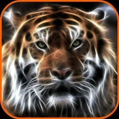 Ардак Тойбаев, Алматы