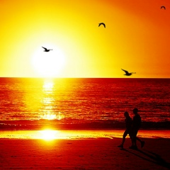 Марина Громыко, 20.12, Москва