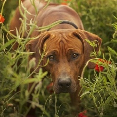Анастасия Поплавская, 11.11.1999