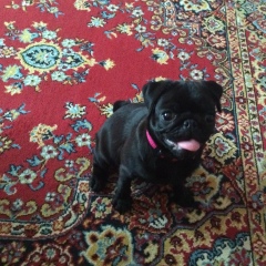 Анастасия Тамбовцева, 11.05.1984, Норильск