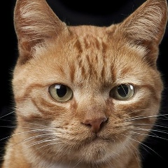 Артур Ивахненко, 13.02.1992, Москва