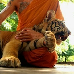 Алексей Ершов, 13.03