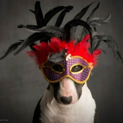 Юлия Черёмуха, 17.11, Санкт-Петербург