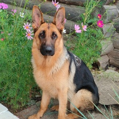 Светлана Шарифуллина, Елабуга