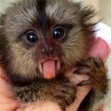 Екатерина Ломакина, 02.09, Погост (Ошевенское м/о)