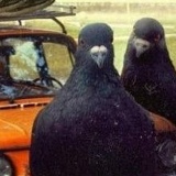 Денис Буянов