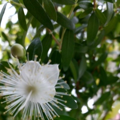 Андрей Чураков, 24.09