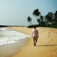 Дмитрий Плеханов, 10.01, Москва