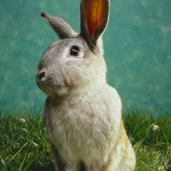 Алексей Харченко, 05.01.1996