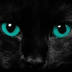 Елена Моисеева, 26.12, Минск