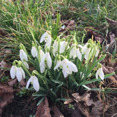 Александр Иохин, Душанбе