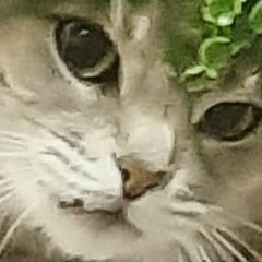 Елена Петрова, 17.07