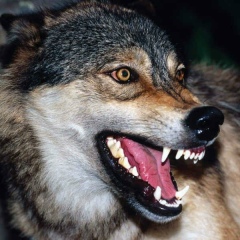 Игорь Палыга, 14.10.1988, Сочи