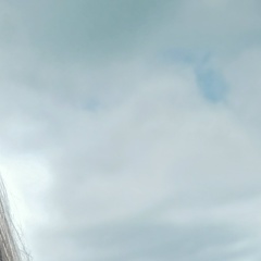 Helga Vasileva, 25.02