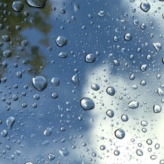 Владислав Солод, 08.09.1993, Владикавказ