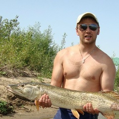 Николай К, 05.02, Анапа