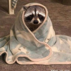 Алина Цадилко, 21.04