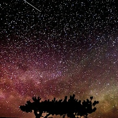 Сергей Крупянко, Санкт-Петербург