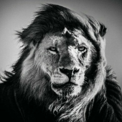 Михаил Житник, 08.06